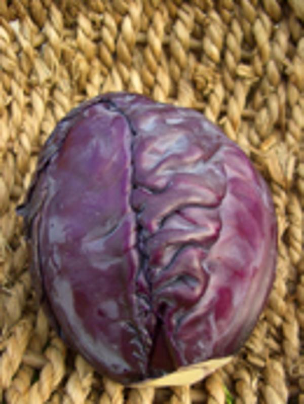 Produktfoto zu Rotkohl