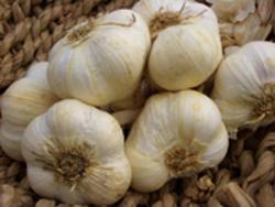 Produktfoto zu Knoblauch, getrocknet