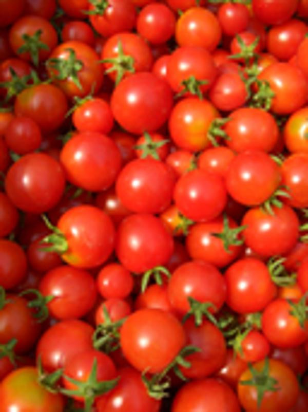 Produktfoto zu Cocktailtomaten