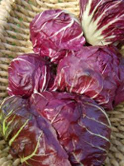 Produktfoto zu Radicchio