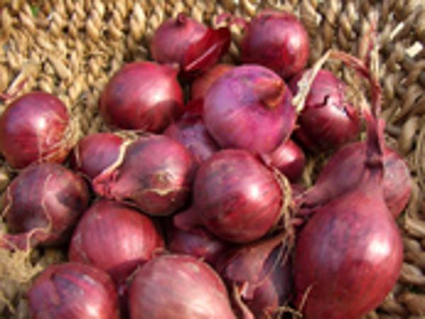 Produktfoto zu Rote Zwiebeln