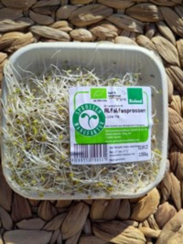 Produktfoto zu Sprossen Alfalfa, 100g